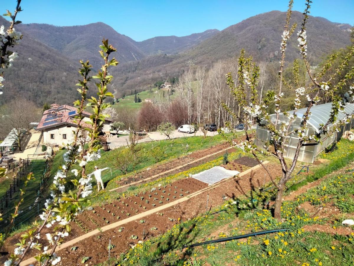 Agriturismo Ca' Fenile Alzano Lombardo 外观 照片