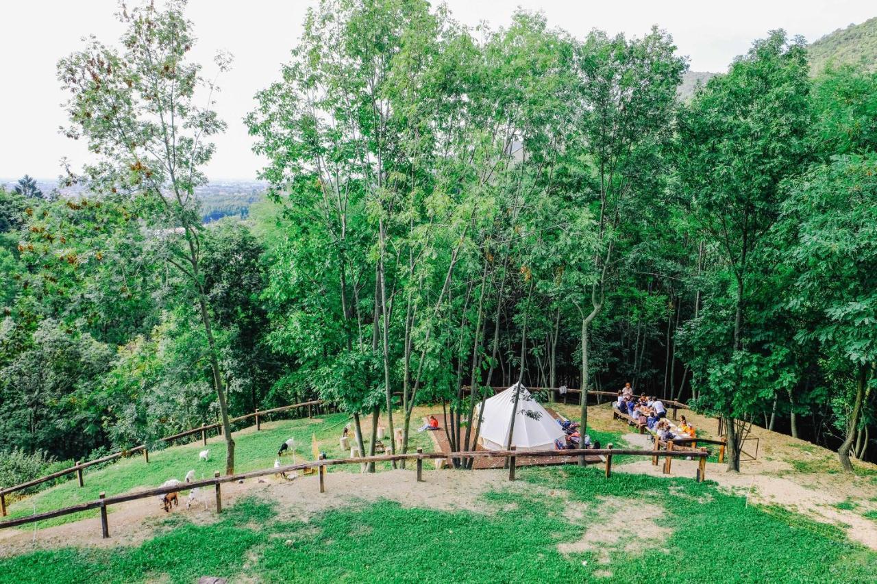 Agriturismo Ca' Fenile Alzano Lombardo 外观 照片