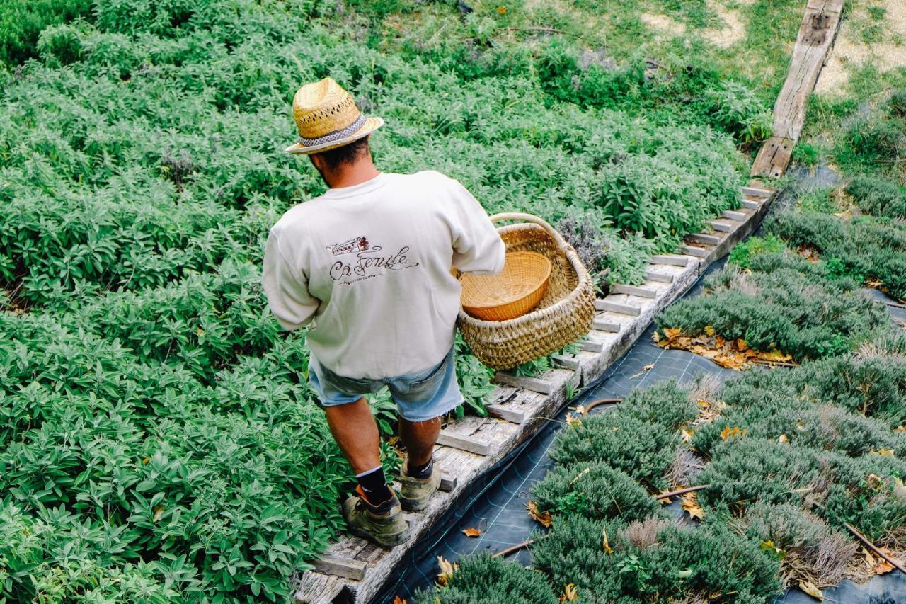 Agriturismo Ca' Fenile Alzano Lombardo 外观 照片