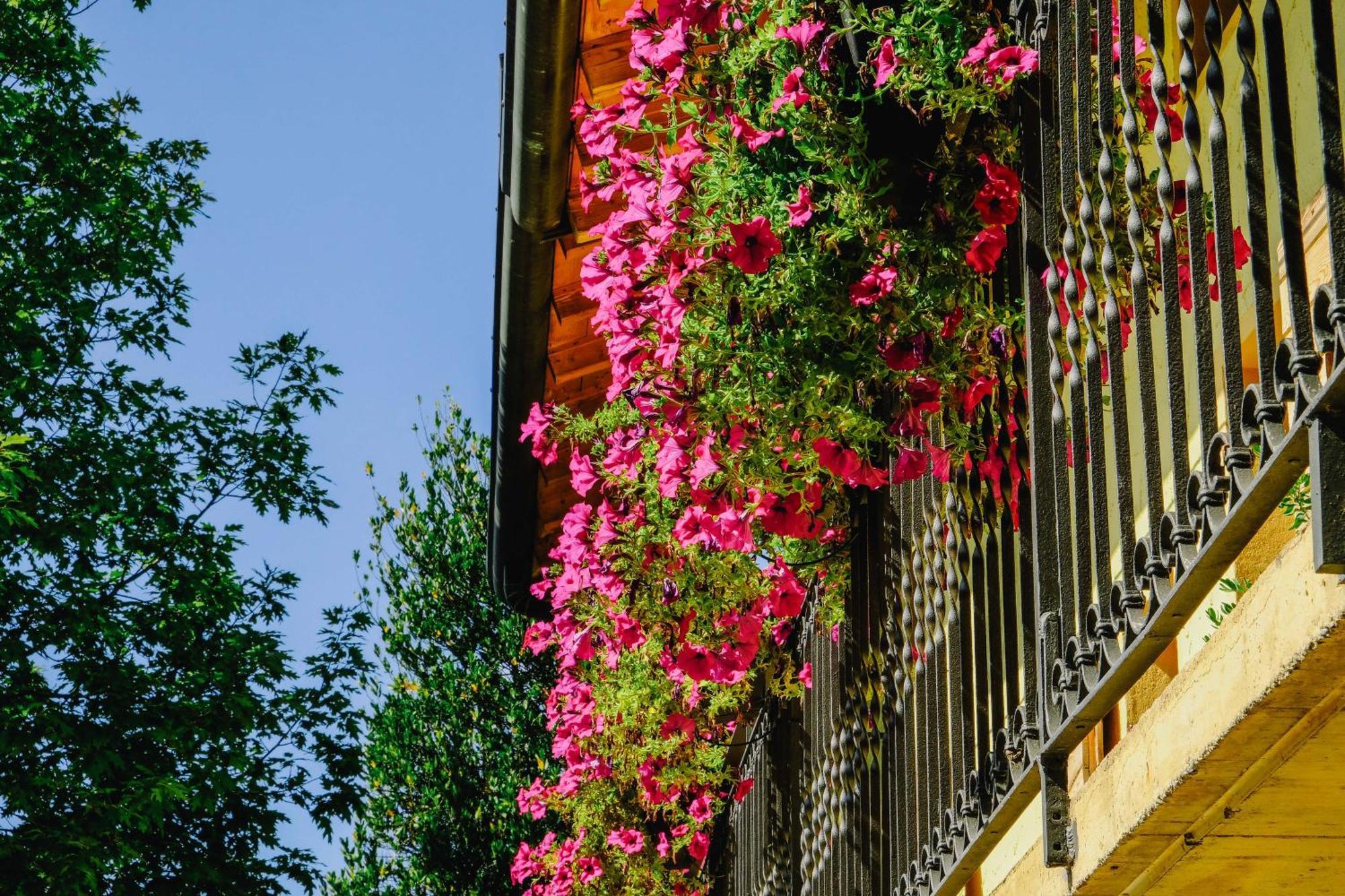 Agriturismo Ca' Fenile Alzano Lombardo 外观 照片